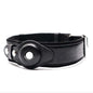 Leather Dog Collar with Location Tracker
